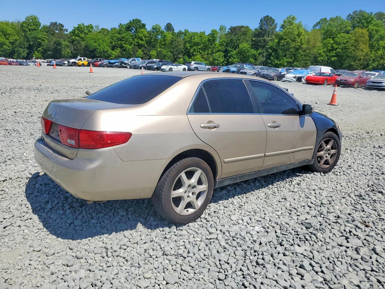 2005 HONDA ACCORD LX photo 3