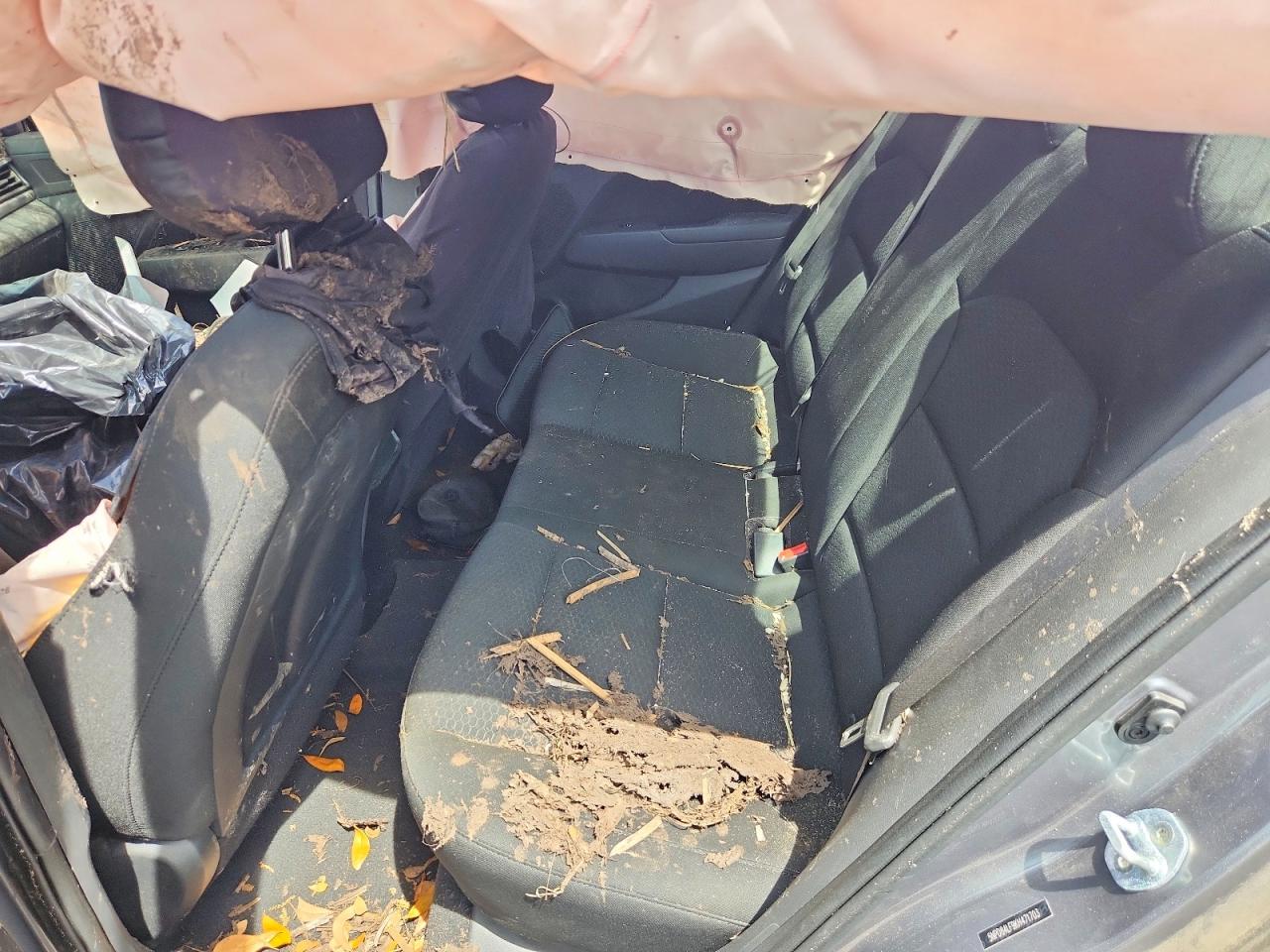 2019 HYUNDAI ELANTRA VALUE EDITION photo 19
