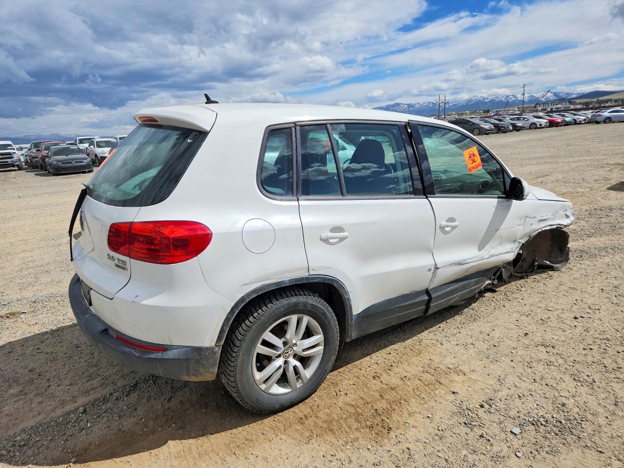 2013 VOLKSWAGEN TIGUAN S photo 5