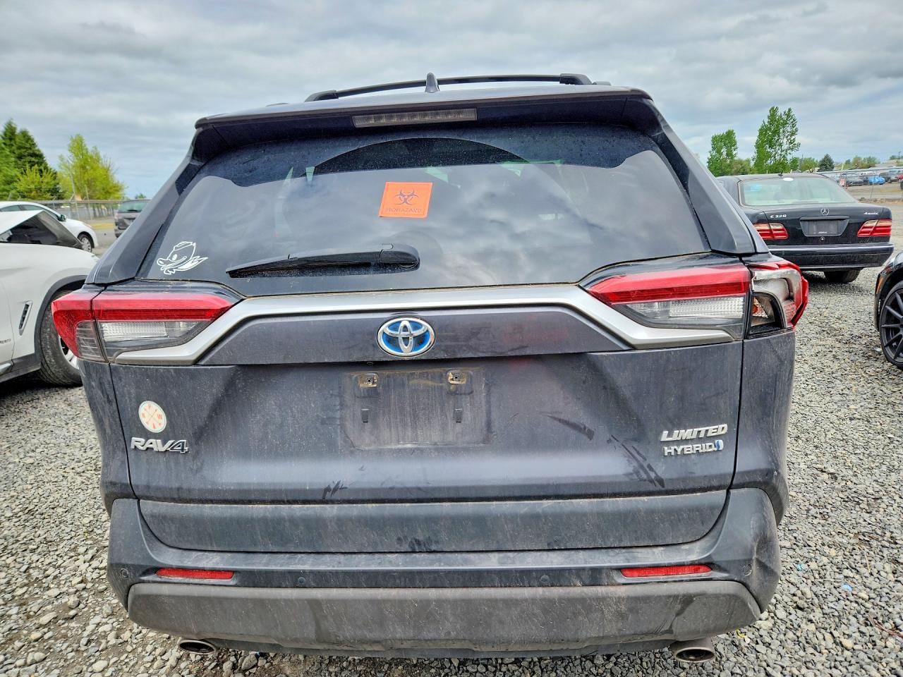 2019 TOYOTA RAV4 LIMITED photo 11