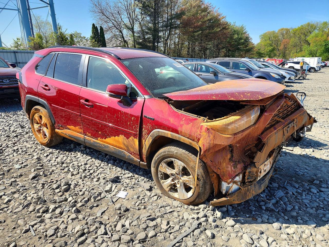 2019 TOYOTA RAV4 LE photo 7