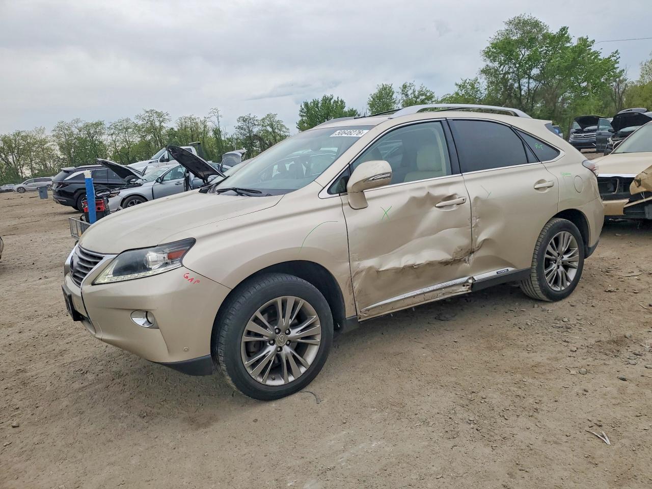 2013 LEXUS RX