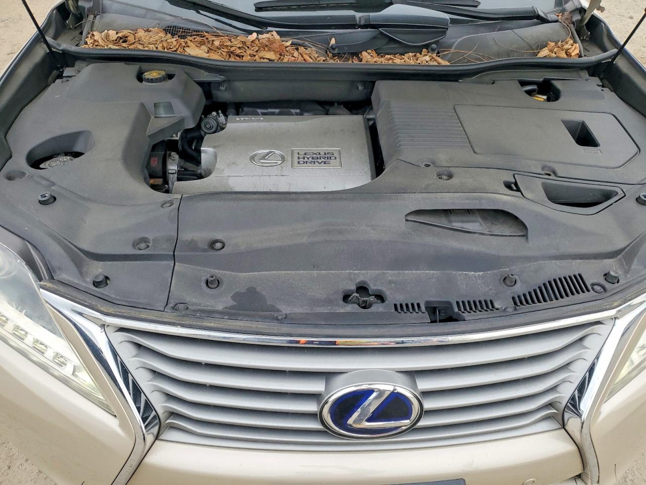 2013 LEXUS RX 450H photo 23