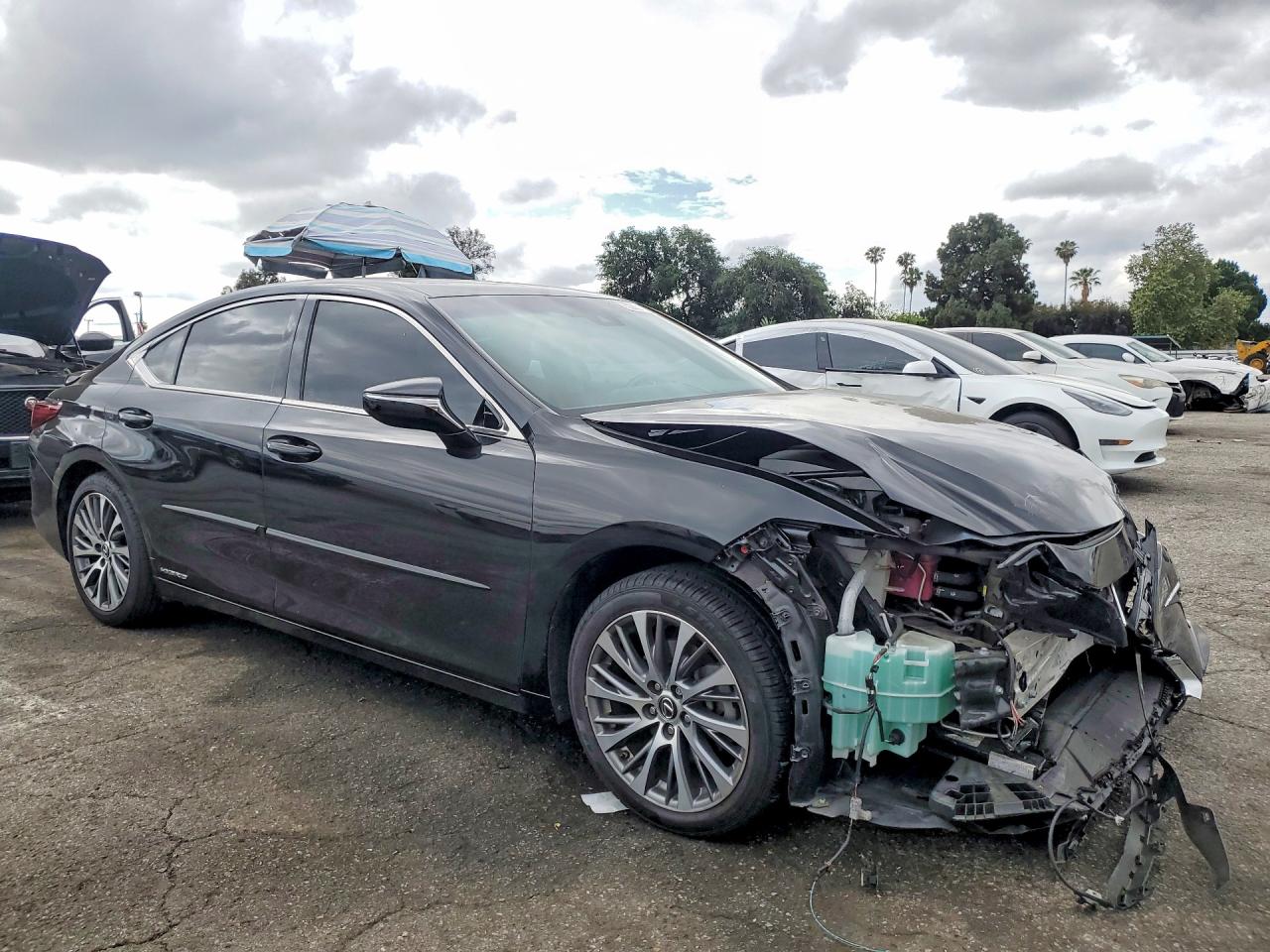 2020 LEXUS ES 300H photo 7