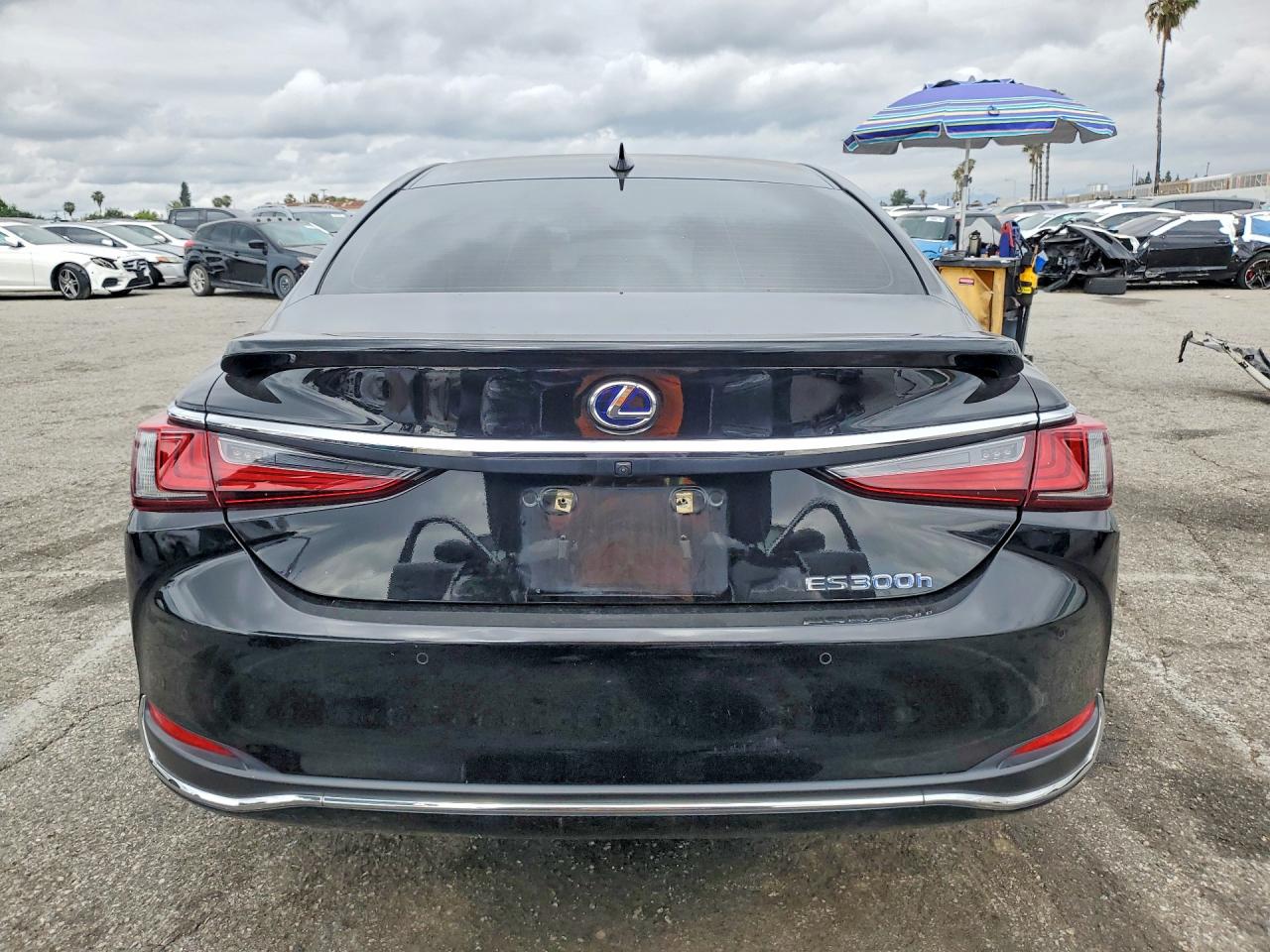 2020 LEXUS ES 300H photo 11