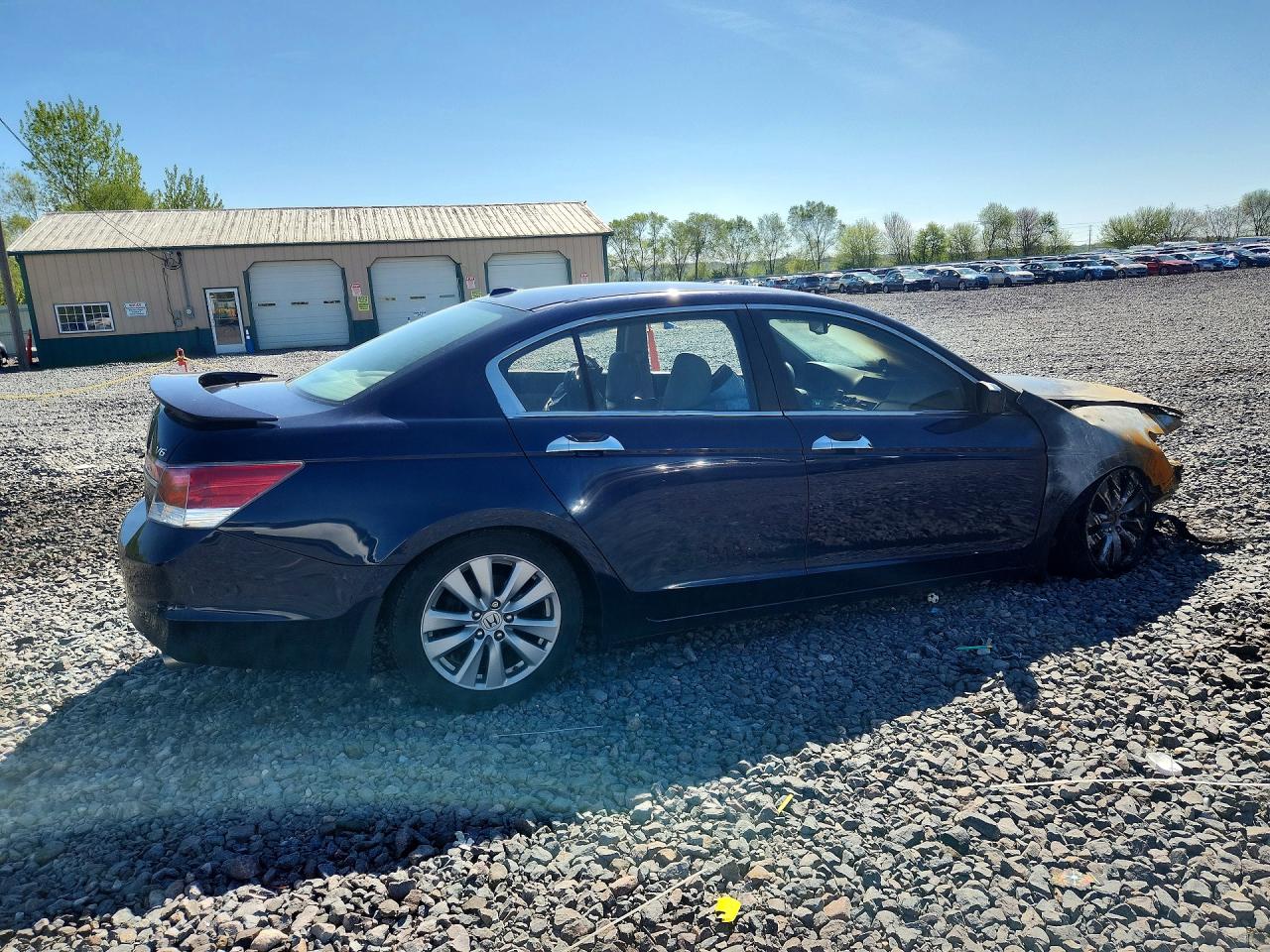 2011 HONDA ACCORD EXL photo 5