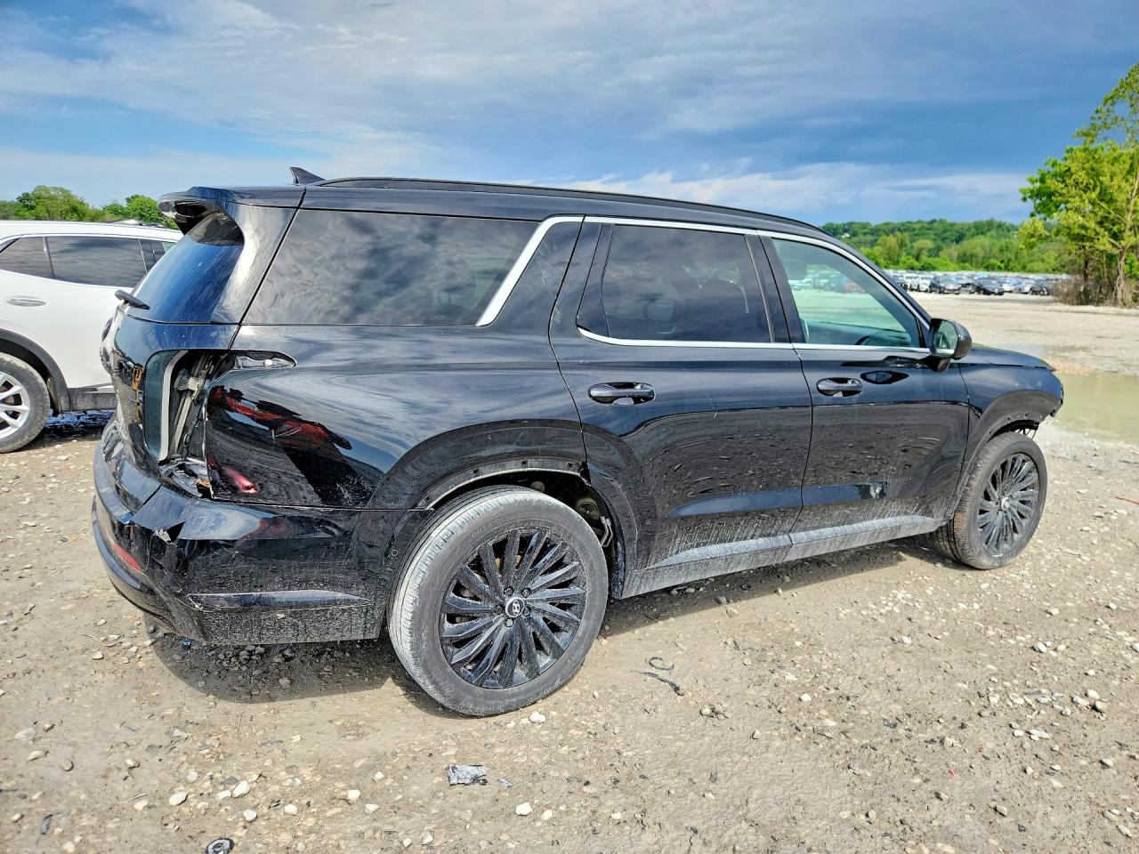 2024 HYUNDAI PALISADE CALLIGRAPHY NIGHT EDITION photo 5