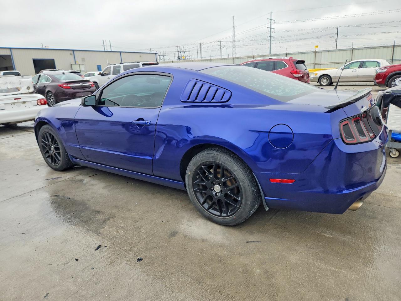2014 FORD MUSTANG photo 3