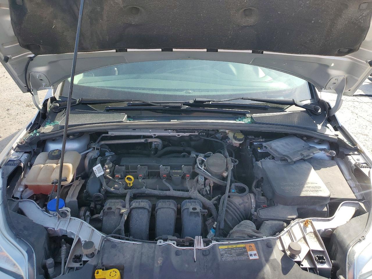 2014 FORD FOCUS SE photo 21