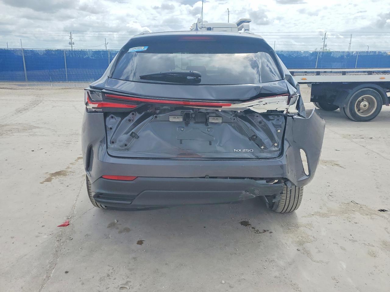 2023 LEXUS NX 250 photo 11