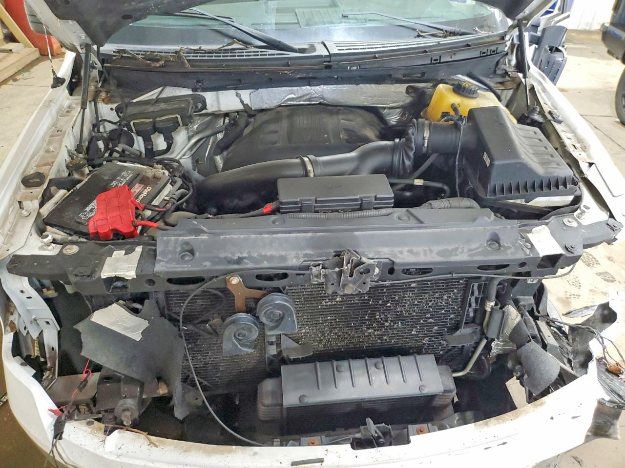 2014 FORD F150 SUPERCREW photo 11