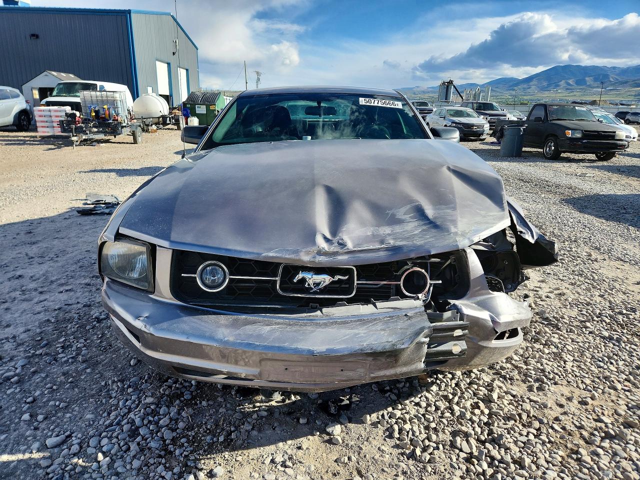 2006 FORD MUSTANG photo 9