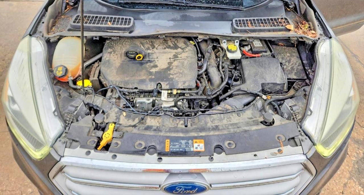 2017 FORD ESCAPE SE photo 23