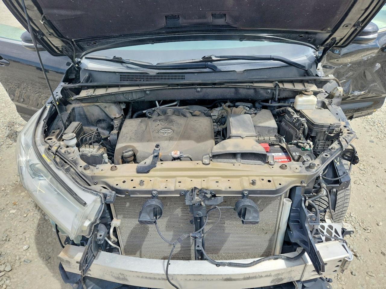 2019 TOYOTA HIGHLANDER XLE photo 12