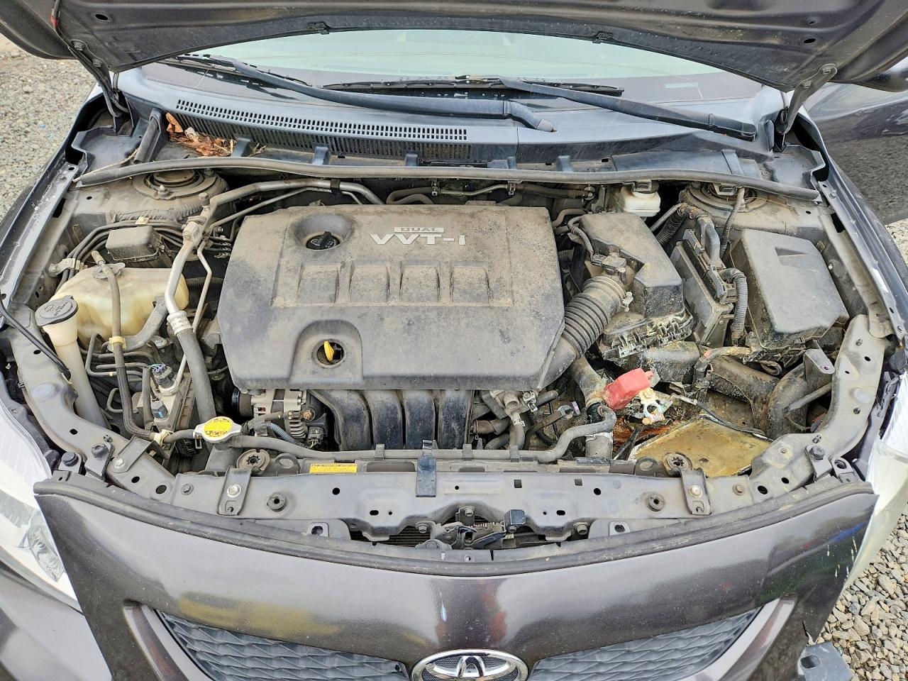 2010 TOYOTA COROLLA LE photo 21