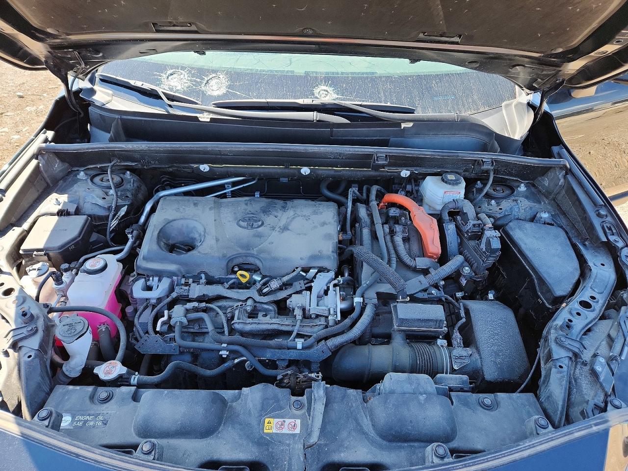 2021 TOYOTA VENZA XLE photo 34
