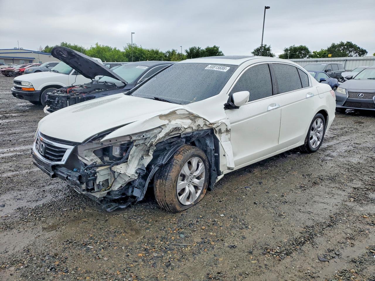 2009 HONDA ACCORD