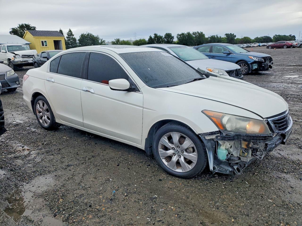 2009 HONDA ACCORD EXL photo 7