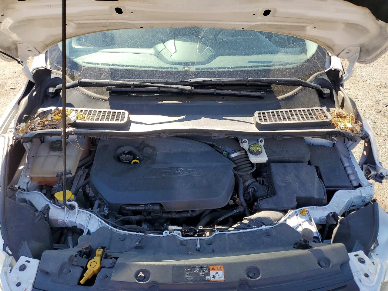 2015 FORD ESCAPE SE photo 11