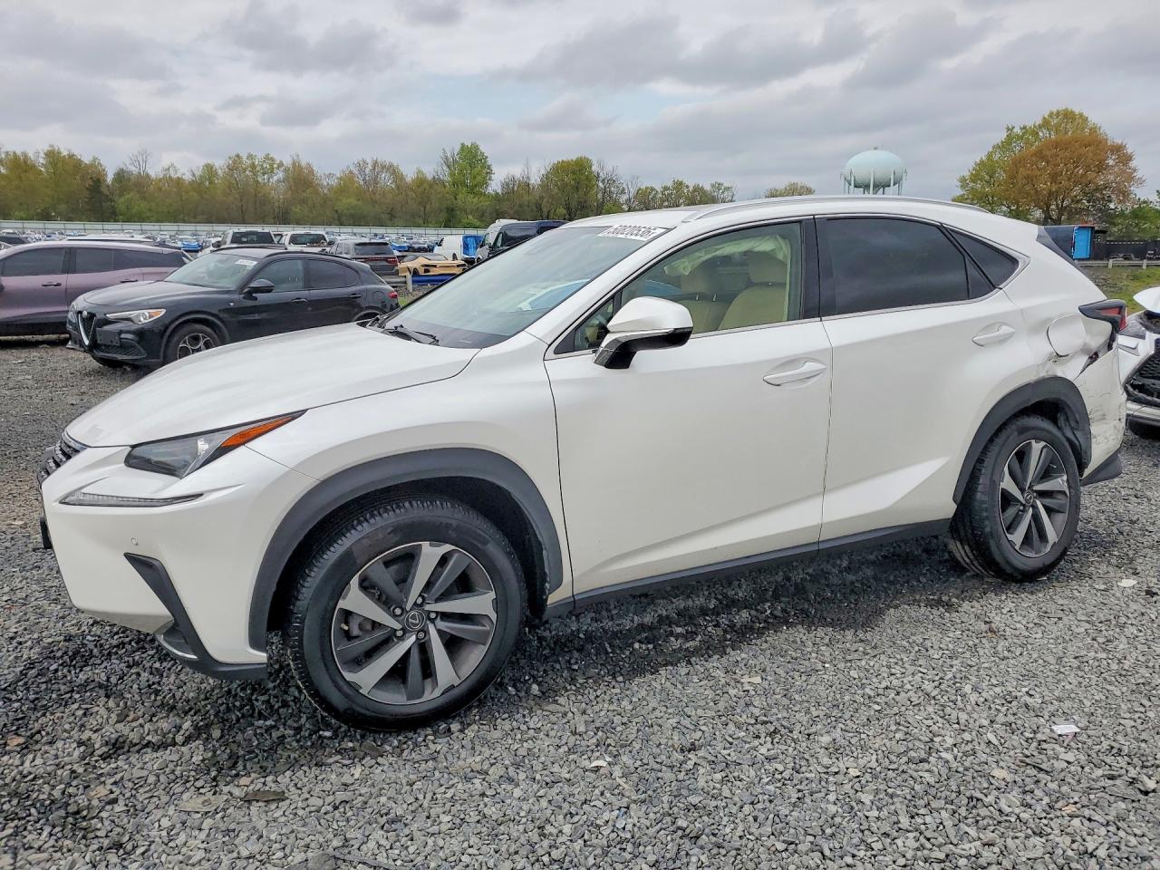 2020 LEXUS NX