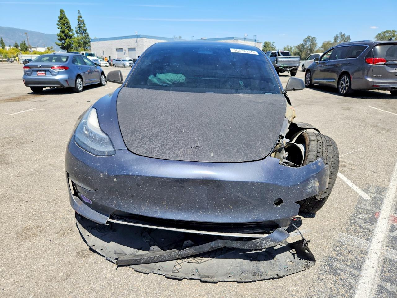 2019 TESLA MODEL 3 photo 9