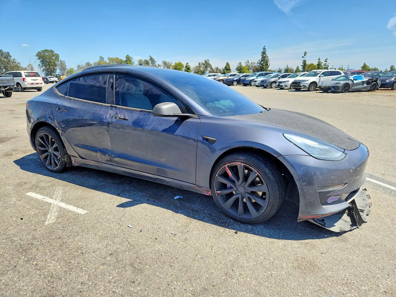 2019 TESLA MODEL 3 photo 7