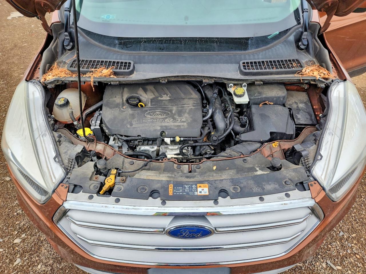 2017 FORD ESCAPE SE photo 34