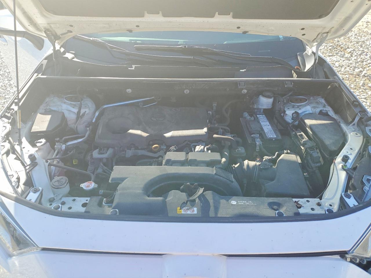 2019 TOYOTA RAV4 XLE photo 23