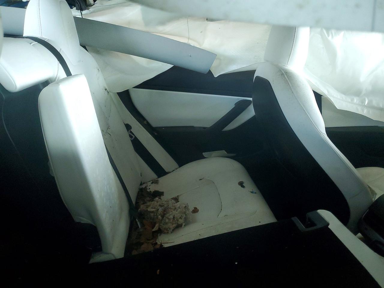 2018 TESLA MODEL 3 photo 19