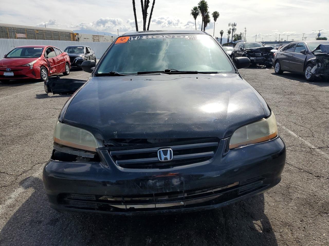 1999 HONDA ACCORD LX photo 5