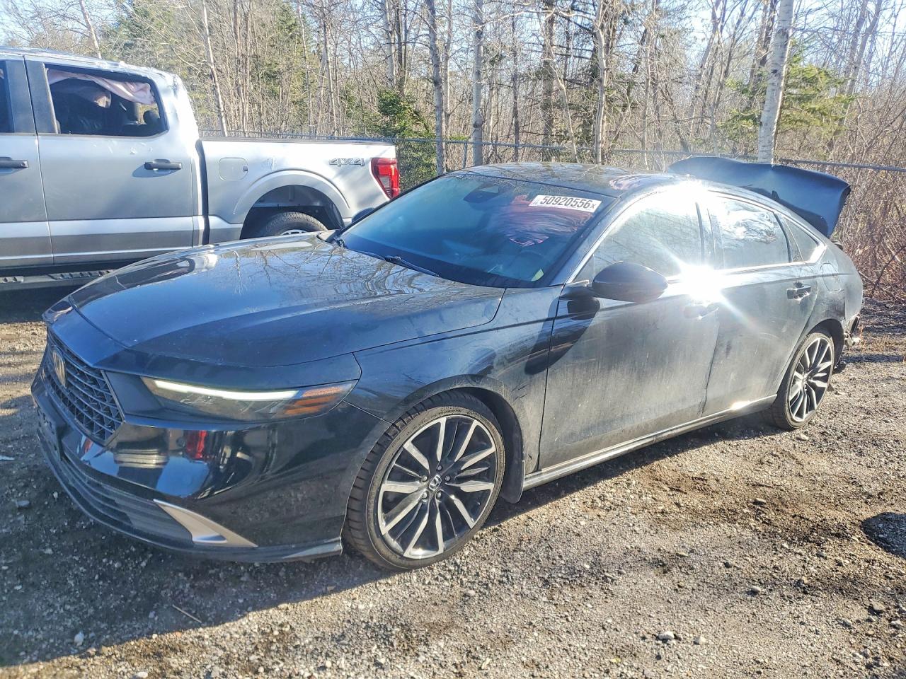 2024 HONDA ACCORD