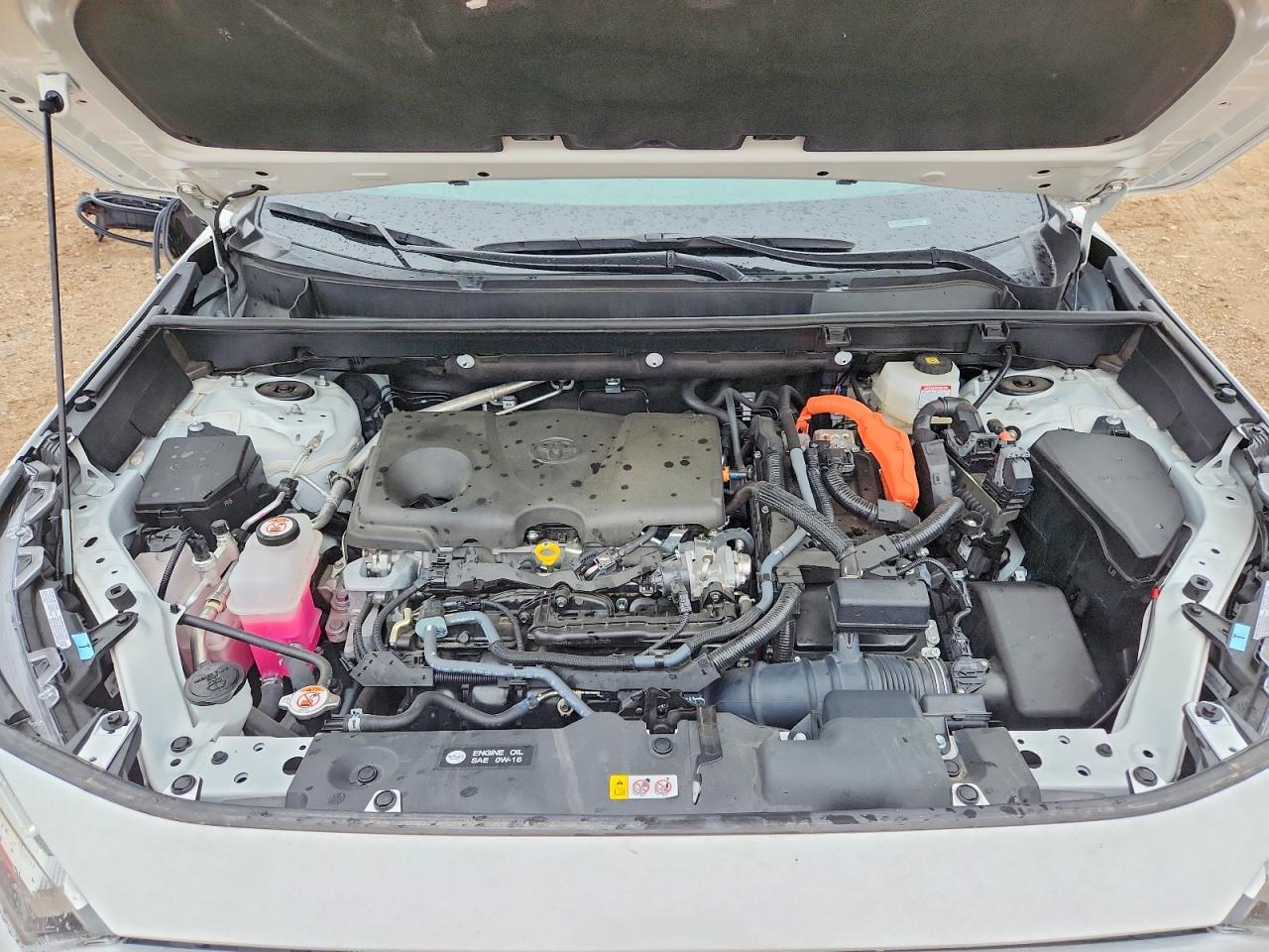 2025 TOYOTA RAV4 LE photo 12