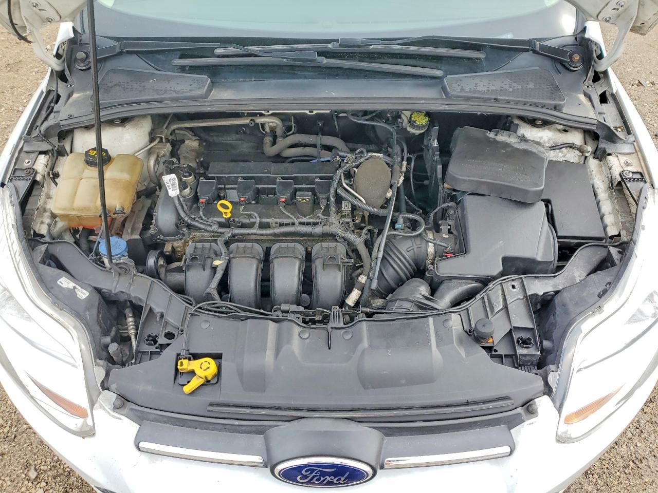 2014 FORD FOCUS SE photo 11