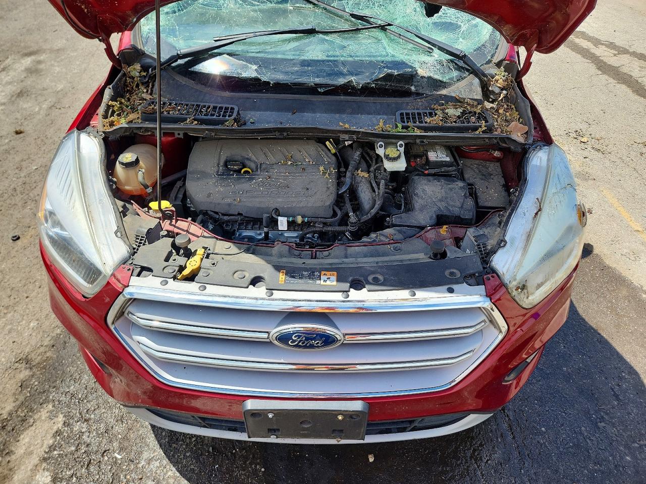 2018 FORD ESCAPE SEL photo 23