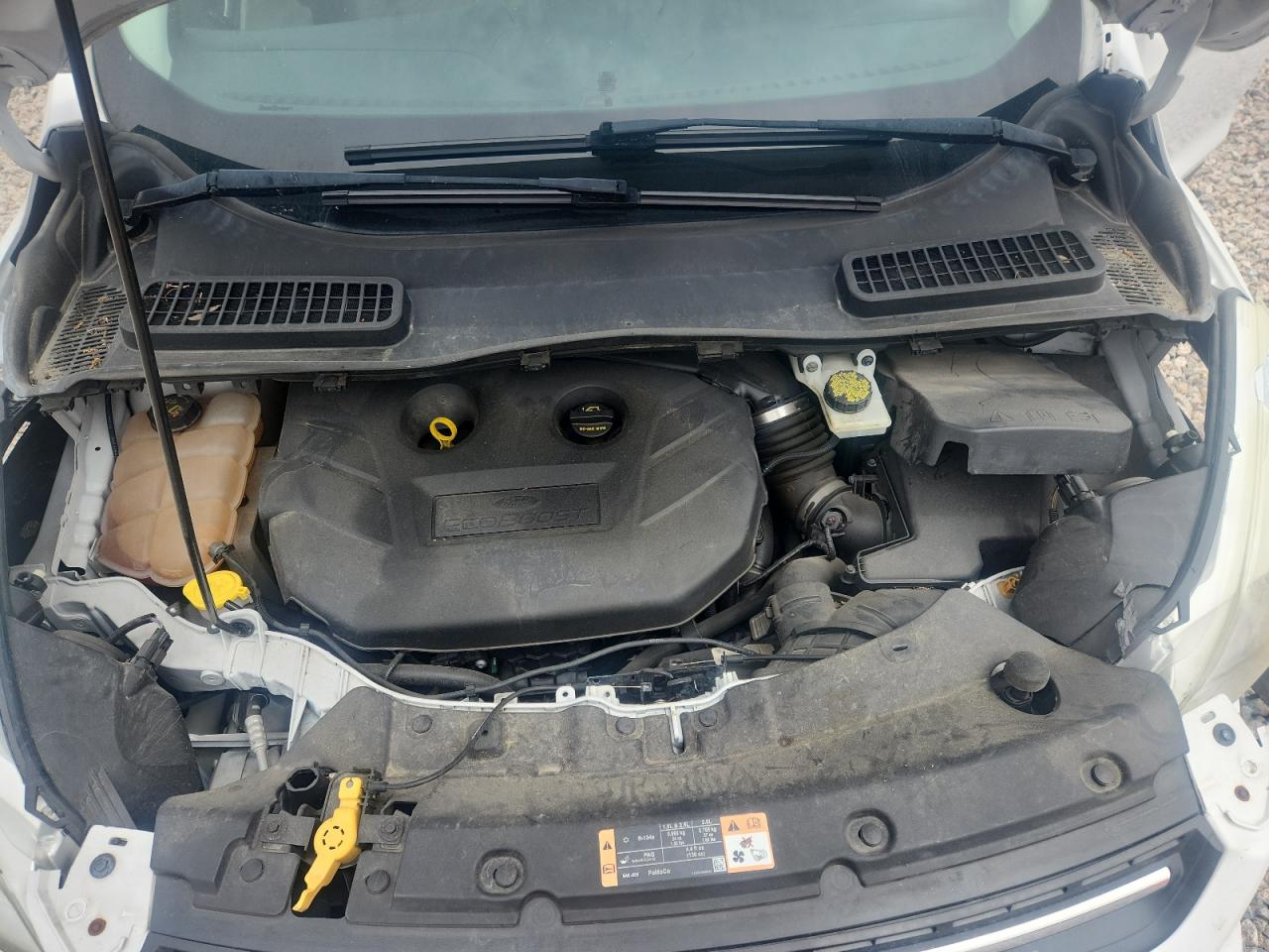 2016 FORD ESCAPE SE photo 34