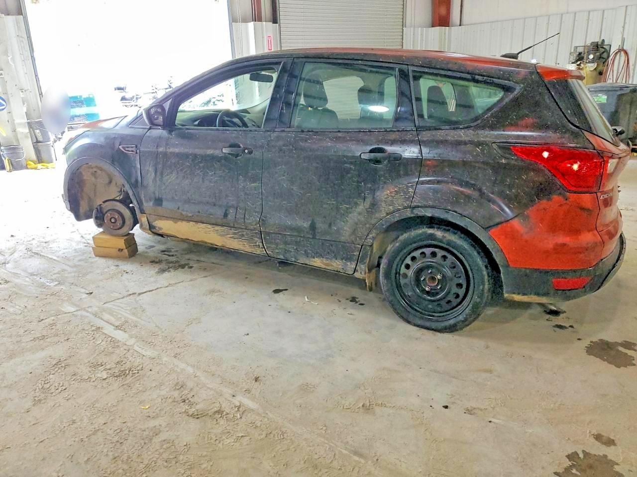 2019 FORD ESCAPE S photo 4