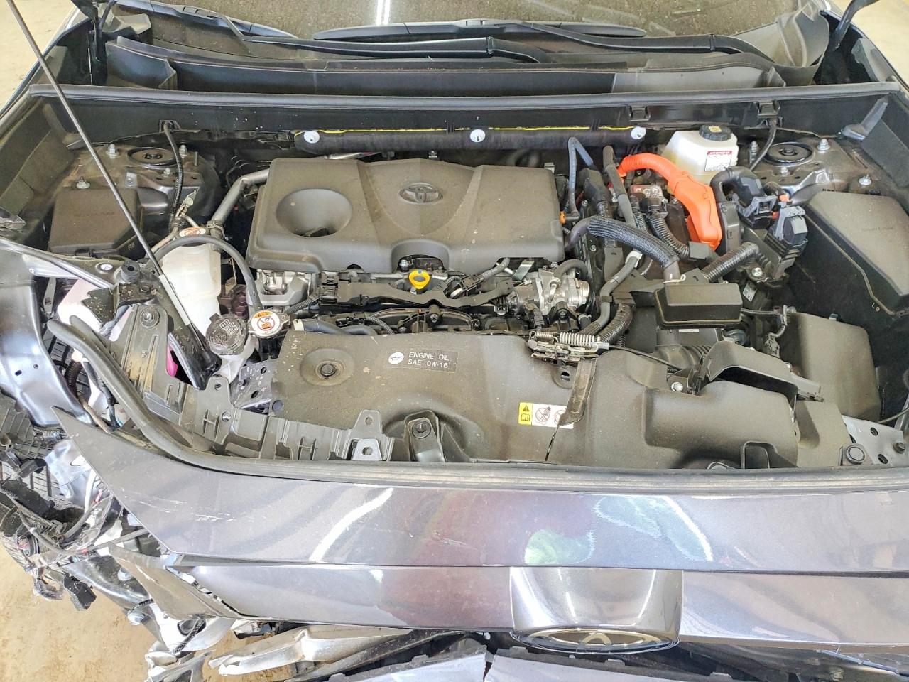 2025 TOYOTA RAV4 photo 12