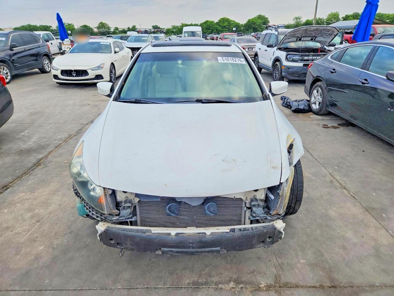 2010 HONDA ACCORD EXL photo 13