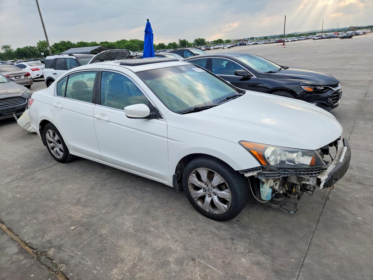 2010 HONDA ACCORD EXL photo 10