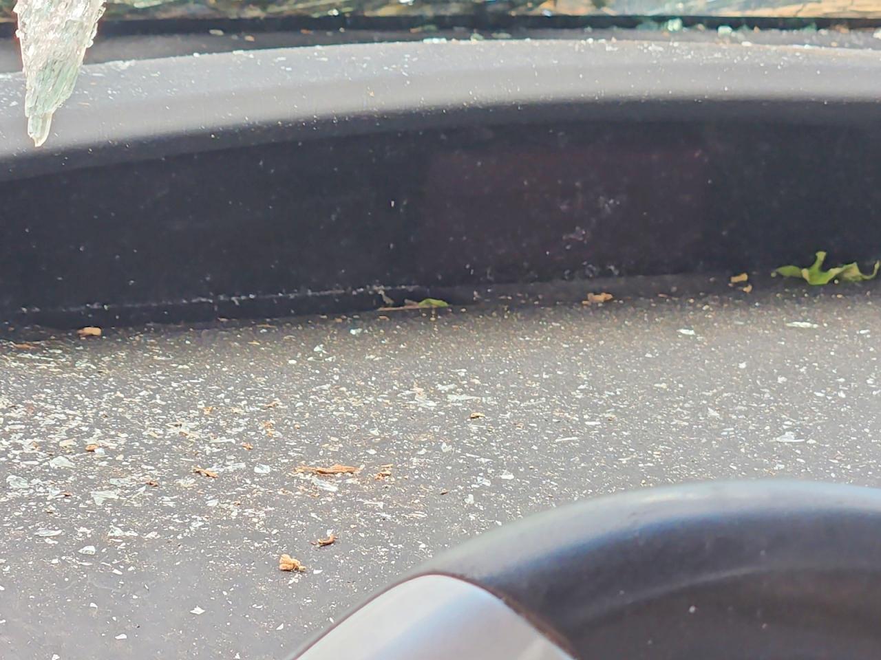 2011 TOYOTA PRIUS THREE photo 17