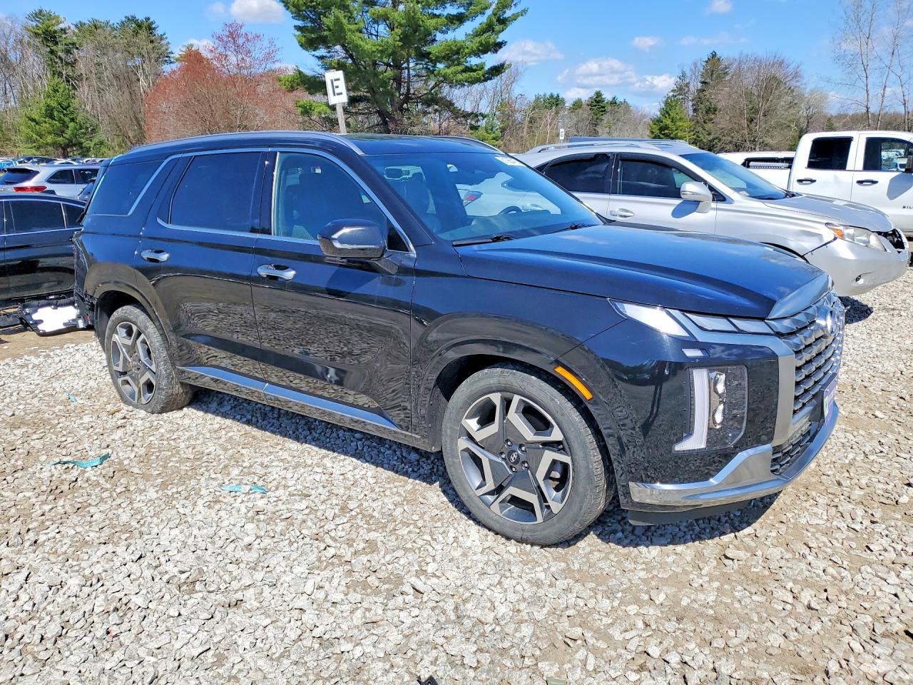 2024 HYUNDAI PALISADE CALLIGRAPHY photo 7