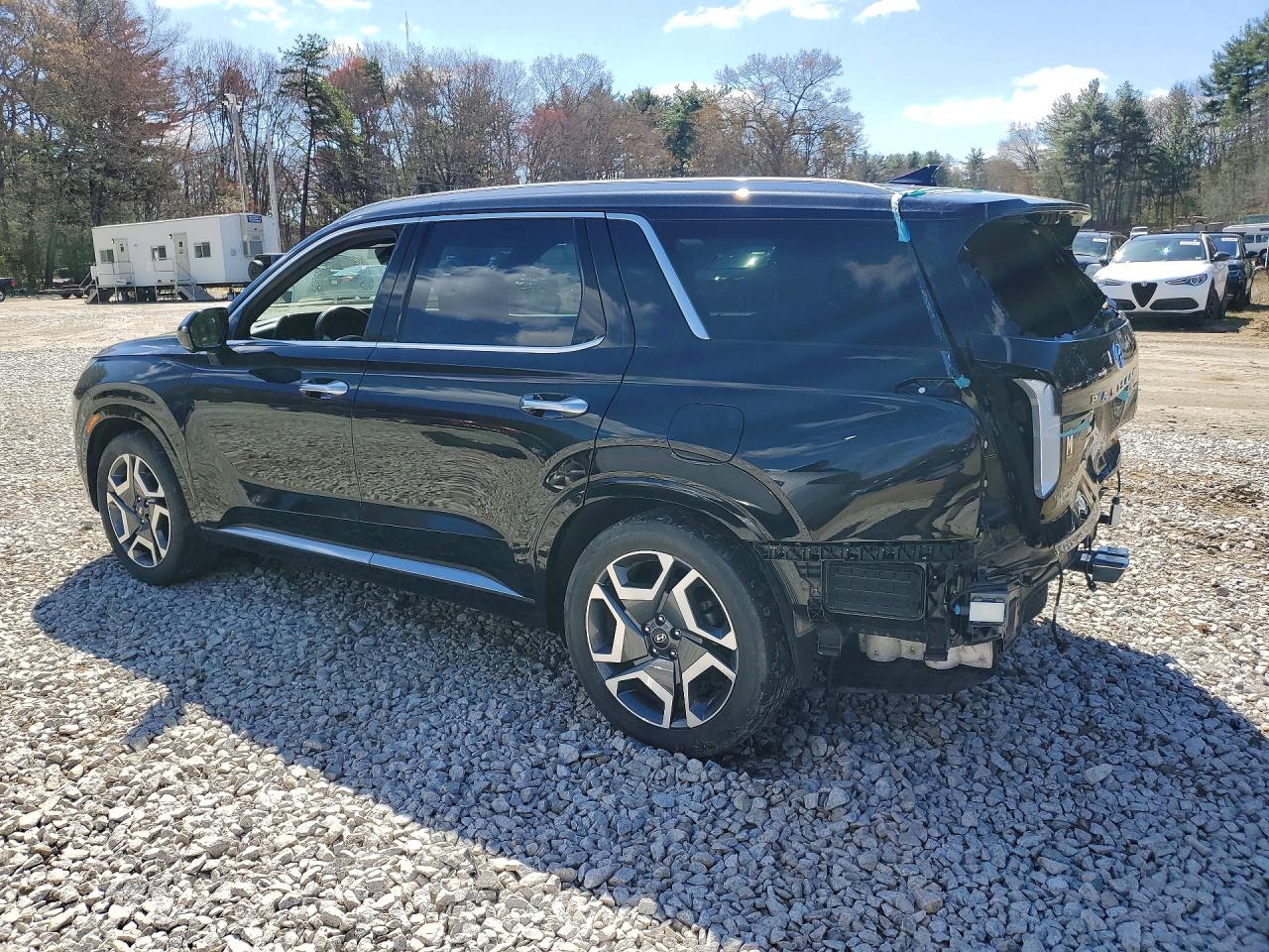 2024 HYUNDAI PALISADE CALLIGRAPHY photo 3