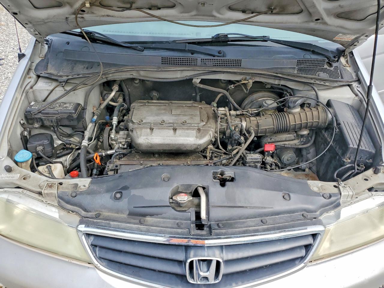 2004 HONDA ODYSSEY EX photo 12