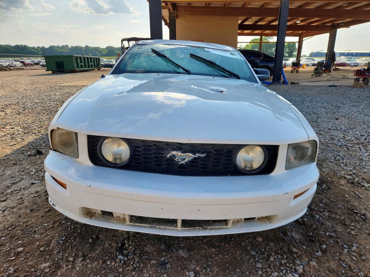 2006 FORD MUSTANG GT photo 13
