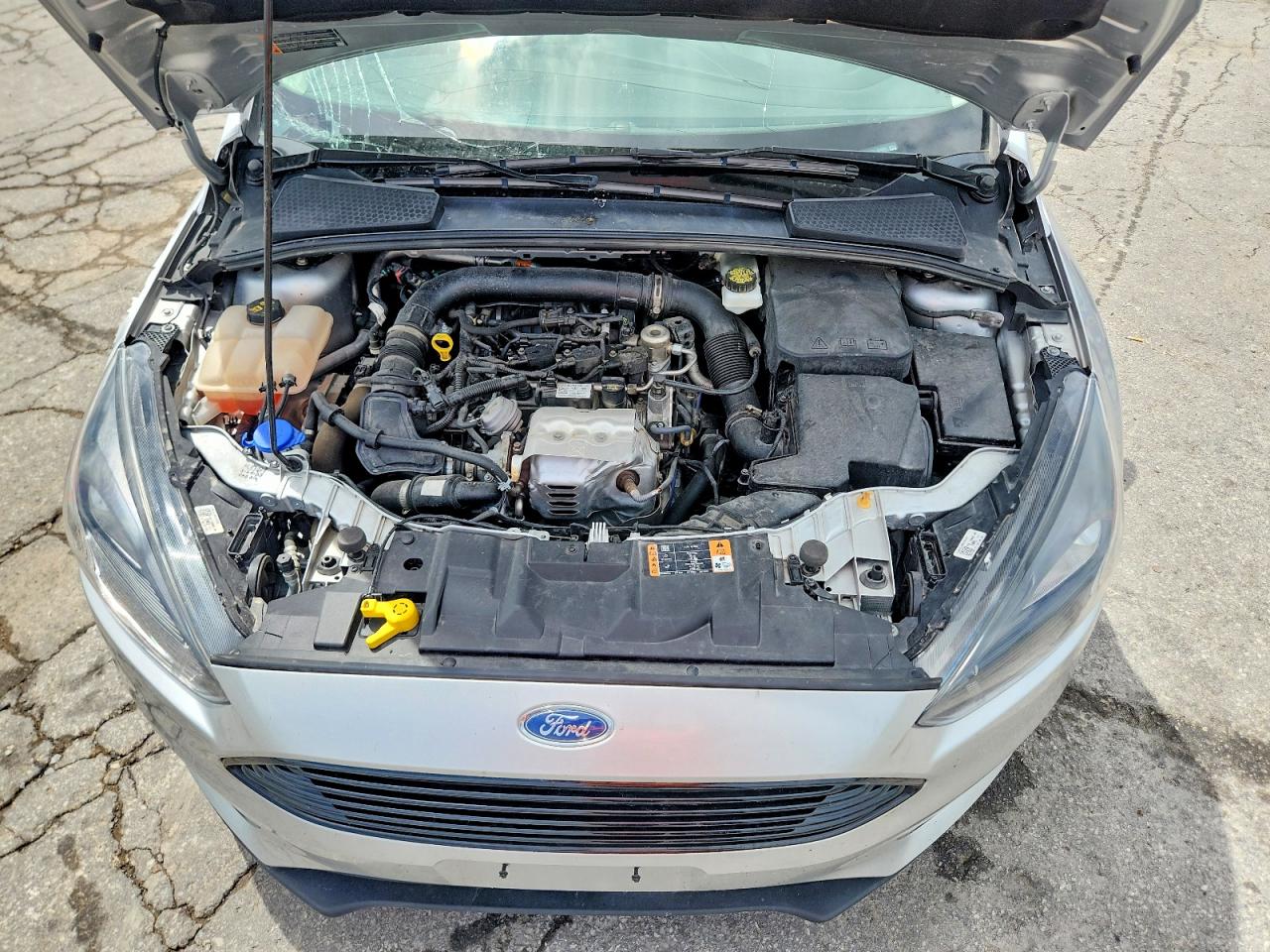 2017 FORD FOCUS SE photo 21