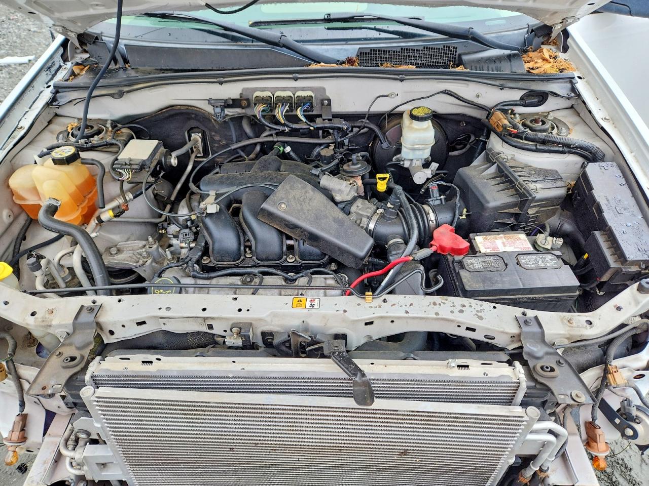 2008 FORD ESCAPE XLT photo 11