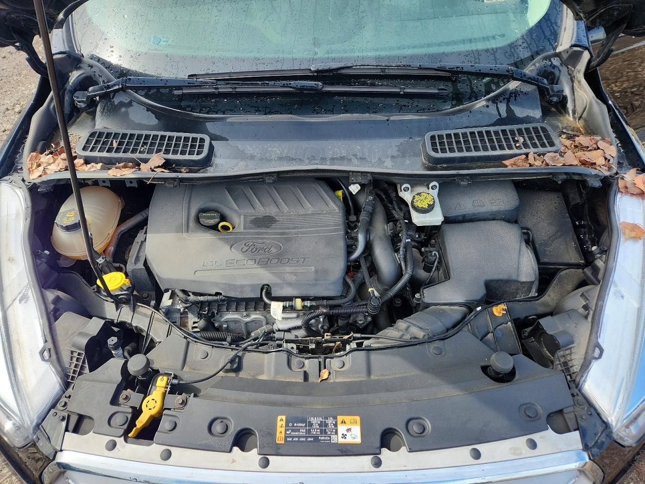 2018 FORD ESCAPE SE photo 12