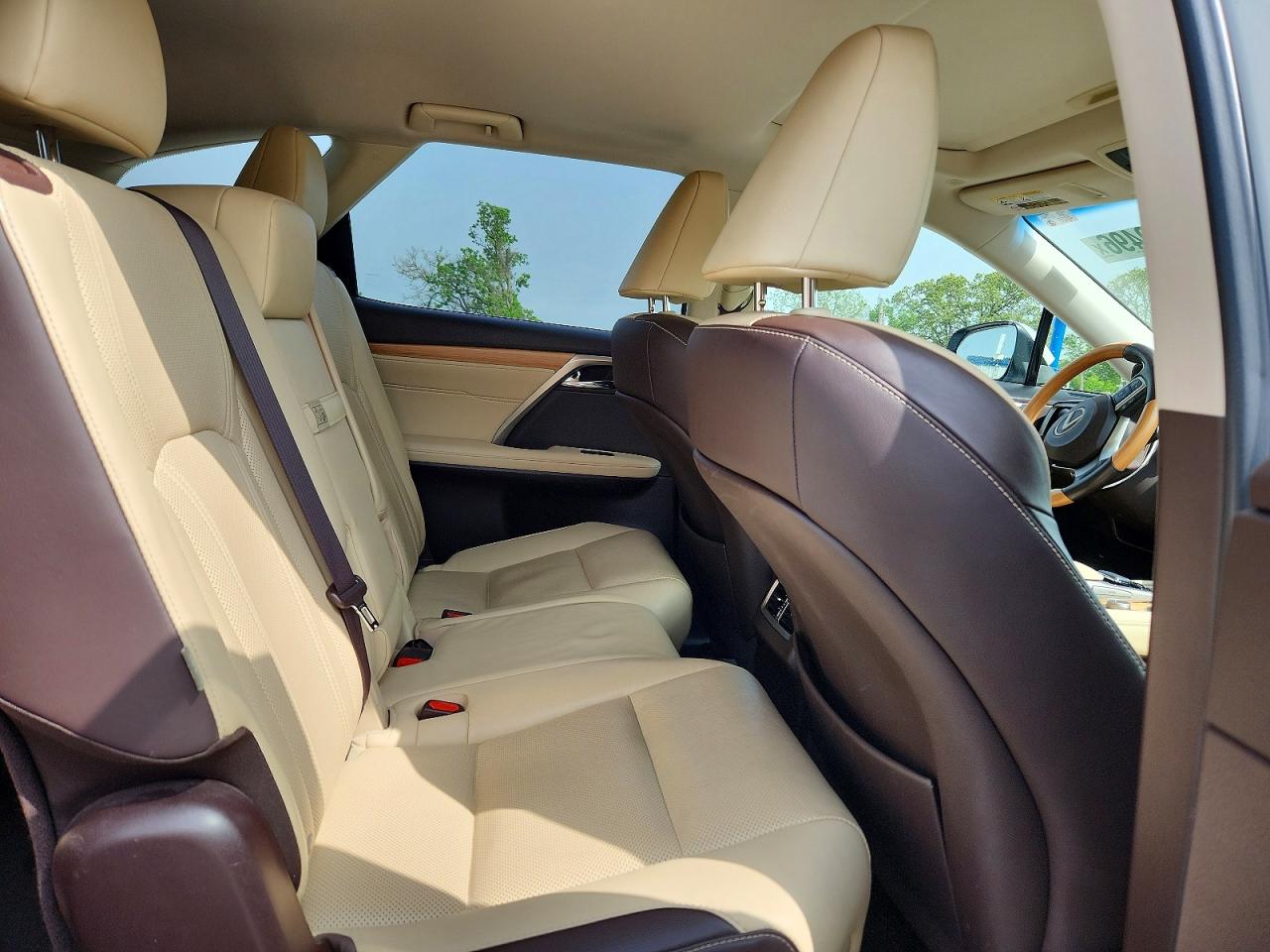 2018 LEXUS RX 350 L photo 21