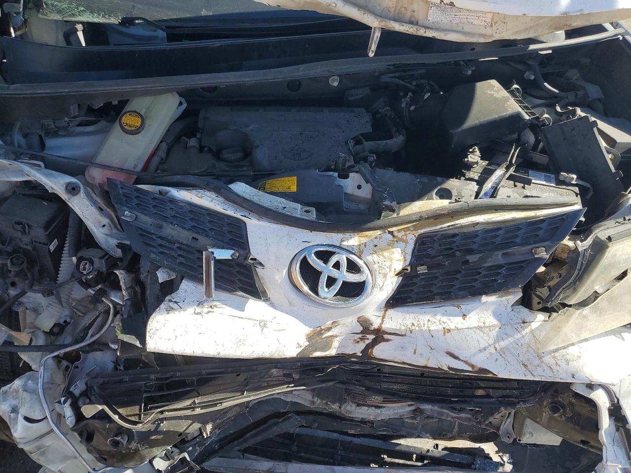 2013 TOYOTA RAV4 XLE photo 23