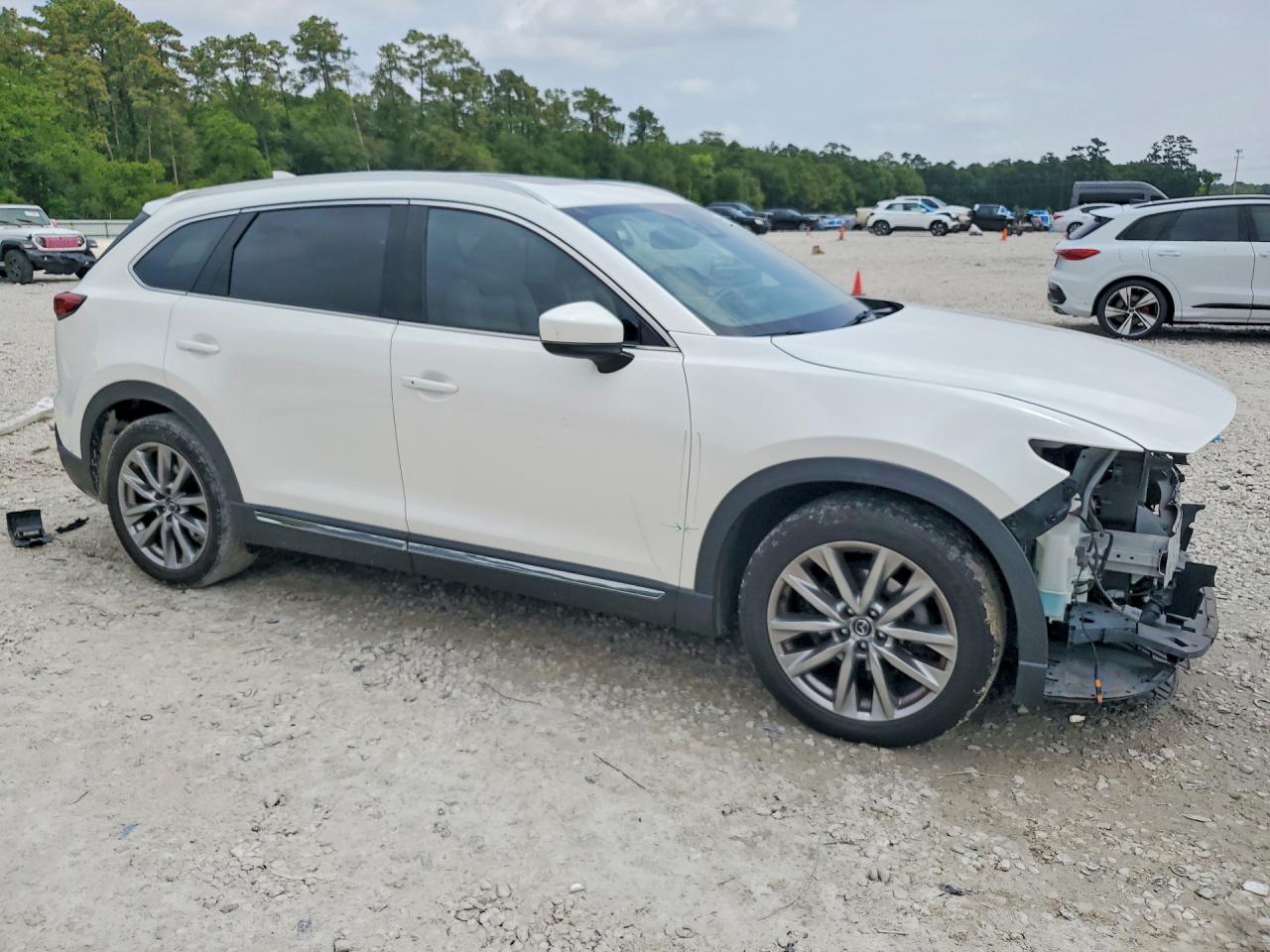 2017 MAZDA CX-9 GRAND TOURING photo 10